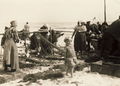 1929 004 Strand Frauen abpflücken.jpg
