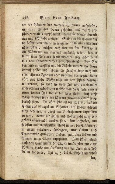 Datei:Fiedler Handbuch Forstwirtschaft 1796-177.jpg