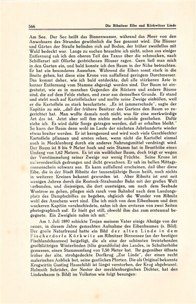Datei:Kühl Ribnitz 566.jpg