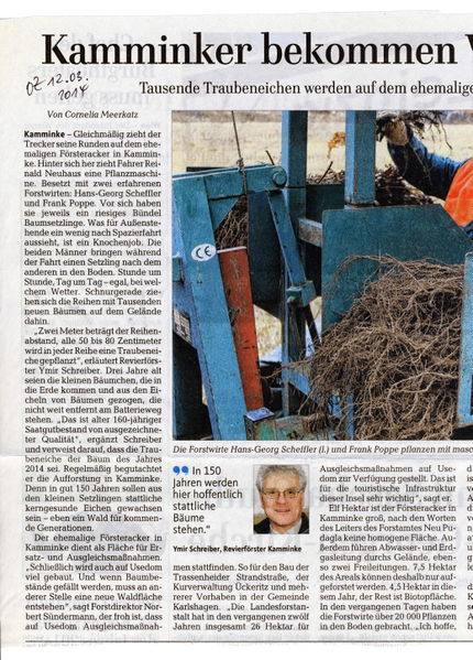 Datei:2014 Wald 1.jpg