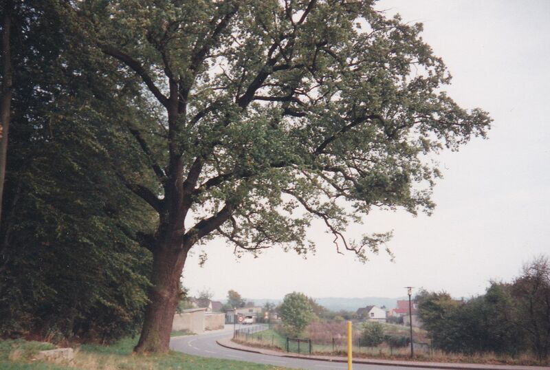 Datei:MarlowKL6.jpg