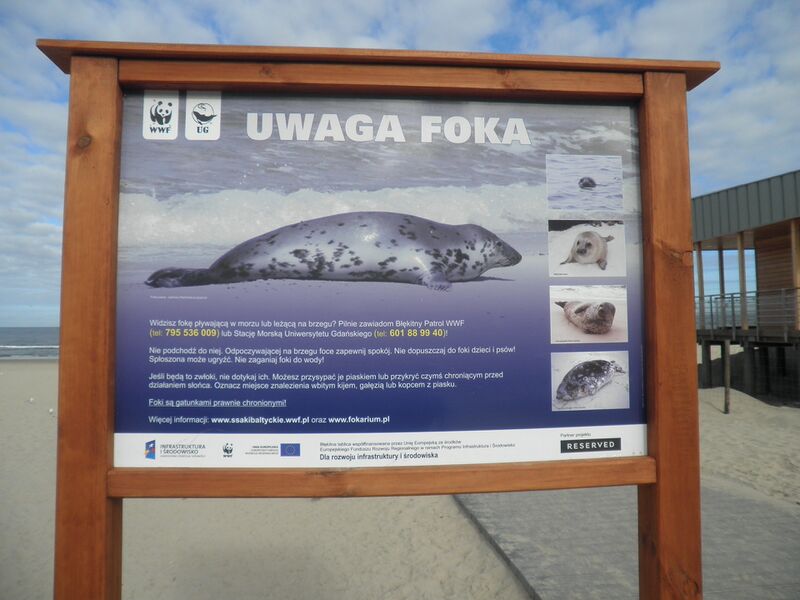 Datei:Swi 2010 Promenade 6.JPG