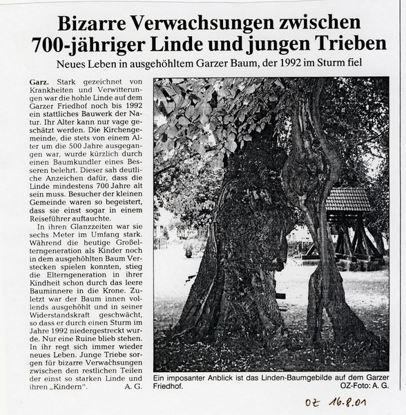 Datei:2001 Garz Linde.jpg
