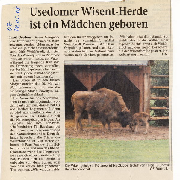 Datei:2005 Wisent 05 a.jpg