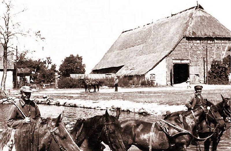 Datei:T15.jpg