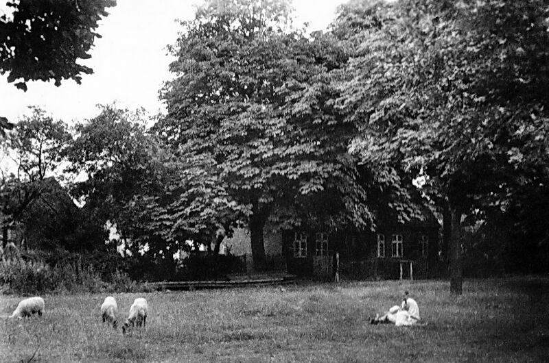 Datei:Friedrichsruhe Büdnerei Heiden.jpg