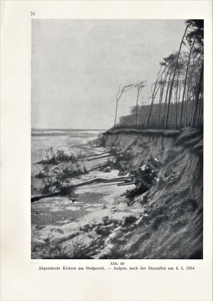 Datei:Kolp Nordöstliche Heide 0070.jpg
