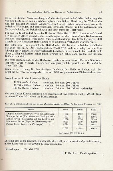 Datei:Kolp Nordöstliche Heide 0087.jpg
