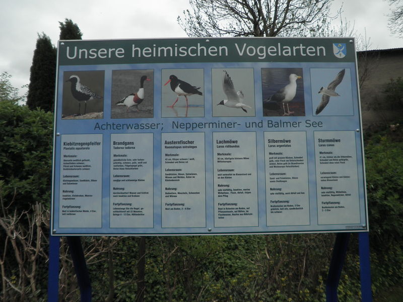 Datei:Neppermin Tafel 7.jpg