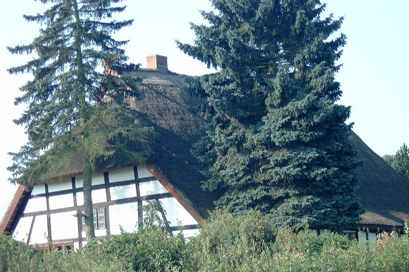 Datei:Oldenstorf-KA Dobbertin 109 (2002).jpg