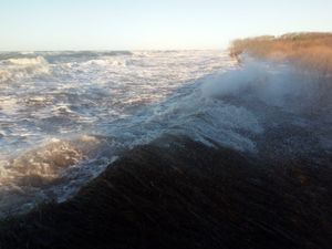 Sturmflut Januar 2019 Salzwassereinbruch Hütelmoor bei Rosenort.jpg