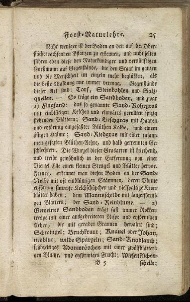 Datei:Fiedler Handbuch Forstwirtschaft 1796-034.jpg
