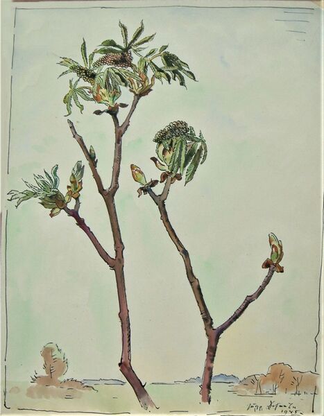 Datei:Scheele 1945 Kastanienknospen.jpg