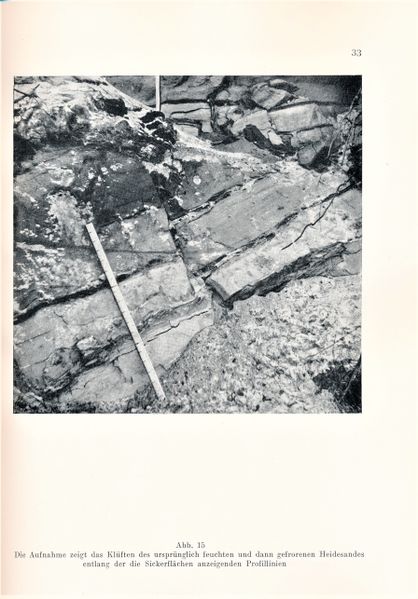 Datei:Kolp Nordöstliche Heide 0033.jpg