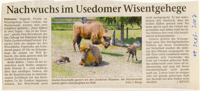 Datei:2007 Wisent 05.jpg