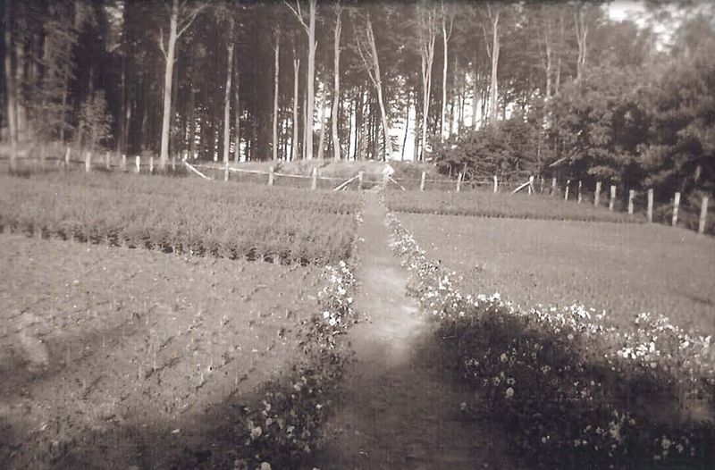 Datei:Glash284.jpg