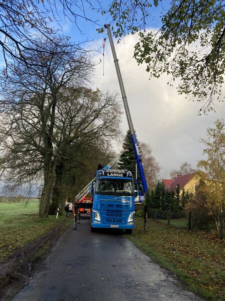 Datei:Bömitz Weihnachtsbaum.jpg