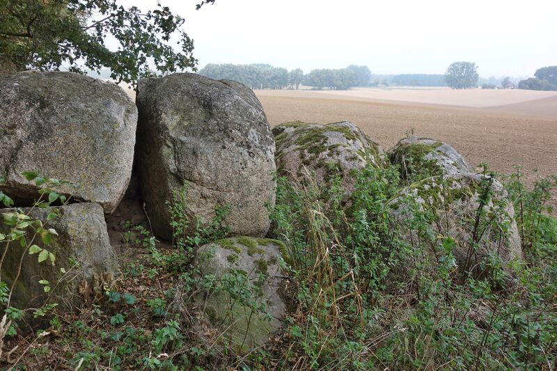 Datei:Hünengräber Silvitz 1.jpg