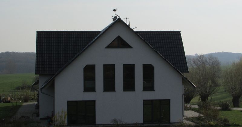 Datei:Storch1.jpg