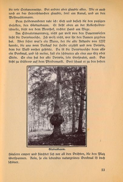 Datei:Ahrens Kleinod 53.jpg
