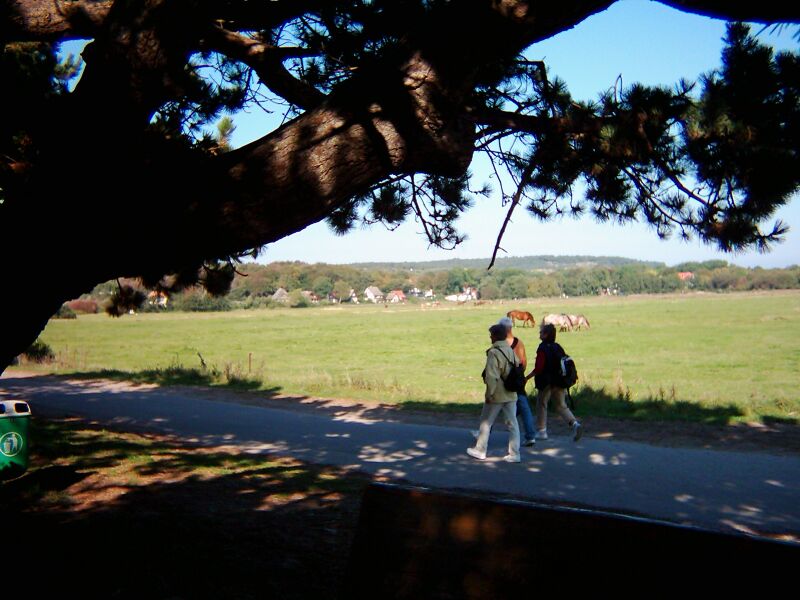 Datei:2008 Hiddensee.jpg