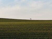 Impressionen 05