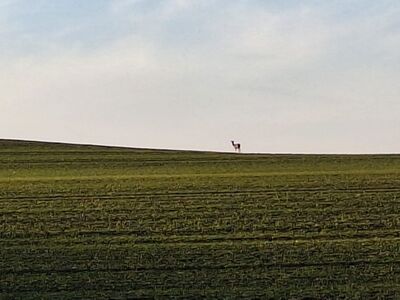 Impressionen 05