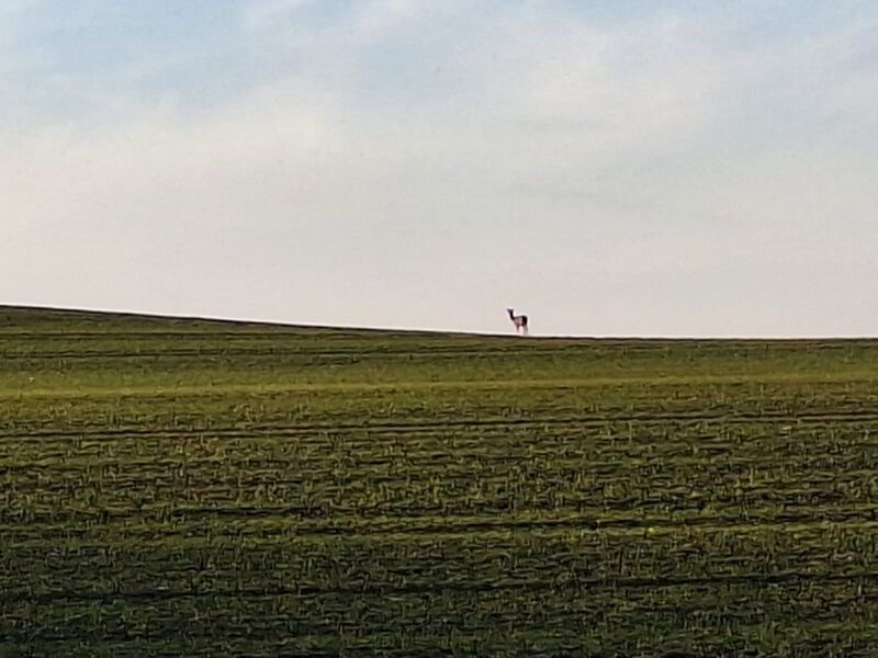 Datei:Eickelberg-Eickelberg Impressionen 07.jpg.jpg