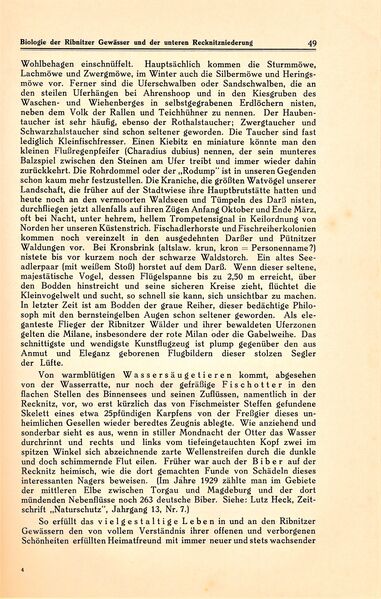 Datei:Ribnitz Kühl 049.jpg