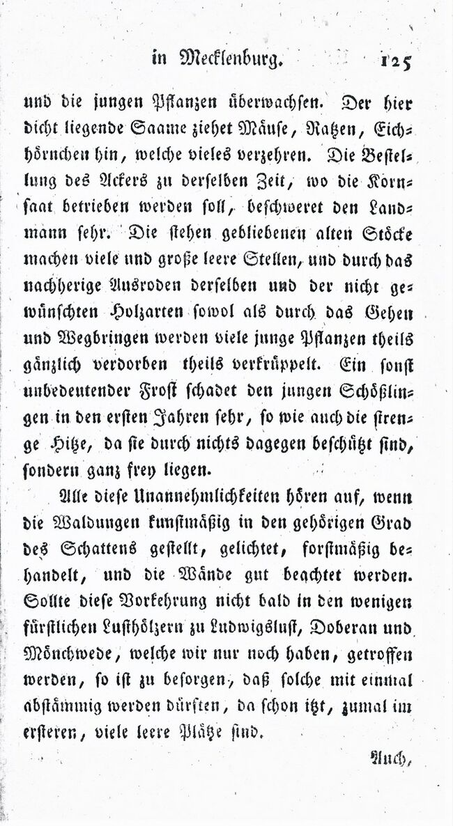 1802 Waldungen Forsten PA II 125