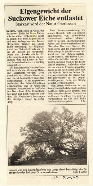 Datei:1997 Nov Baum.jpg