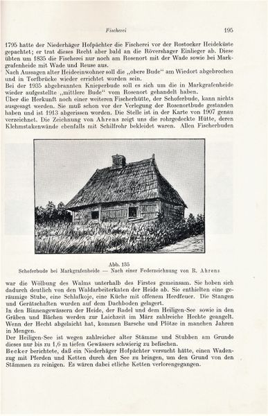 Datei:Kolp Nordöstliche Heide 0195.jpg