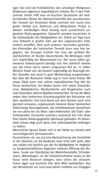 Datei:Rostocker Heide Meckl Landsch 11.jpg
