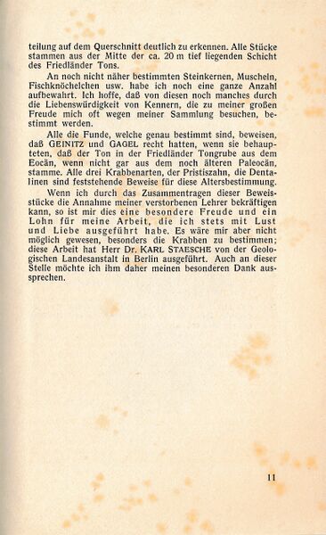 Datei:Friedland Rohn Blauton 1939 12.jpg
