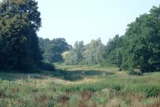 Garden-KA Dobbertin 890 (2002).jpg