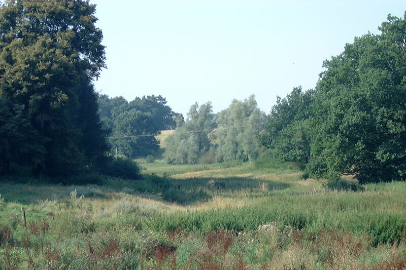 Datei:Garden-KA Dobbertin 890 (2002).jpg