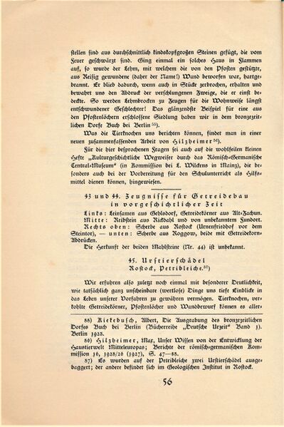Datei:Gummel Vorzeit 1928 56.jpg
