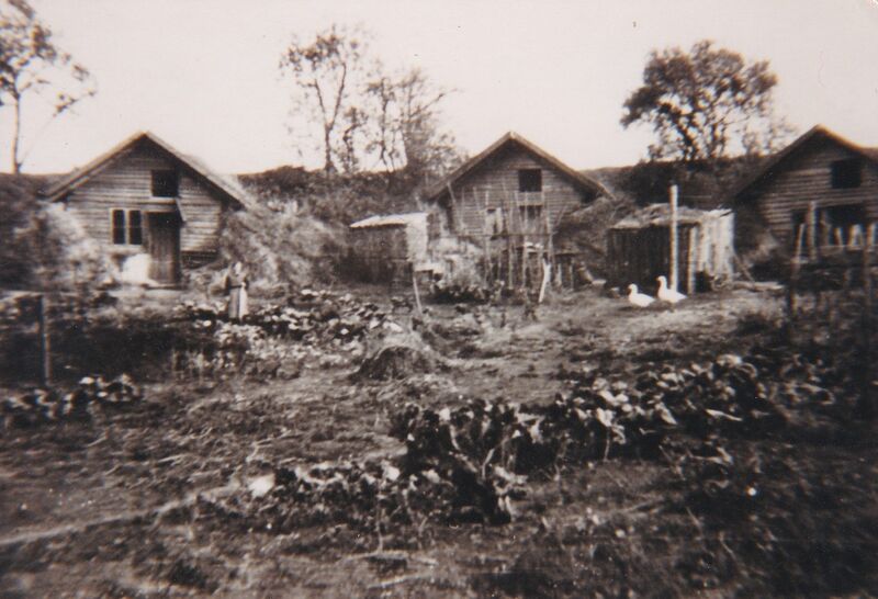 Datei:MarlowNu2.jpg