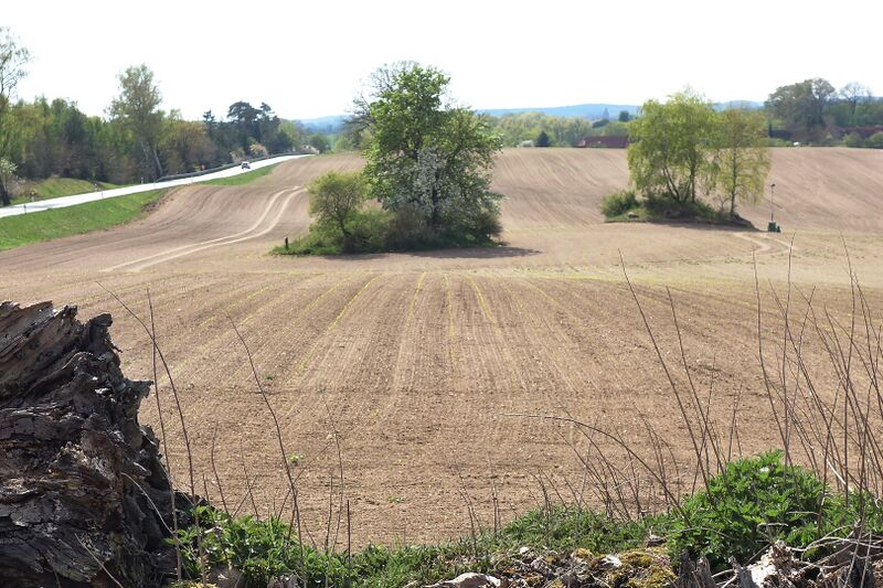 Datei:Hünengräber Wilsen 4.jpg
