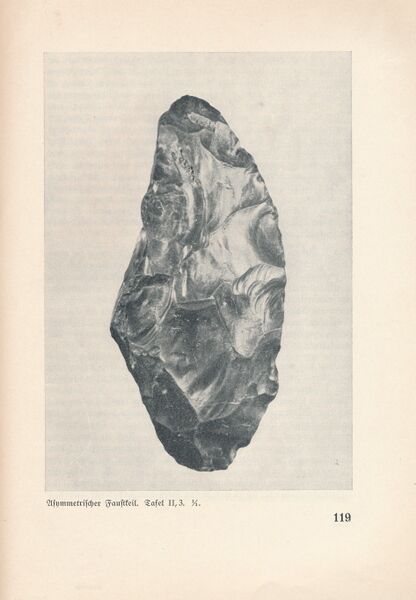 Datei:Fischland Bastian Boddenfund 119.jpg