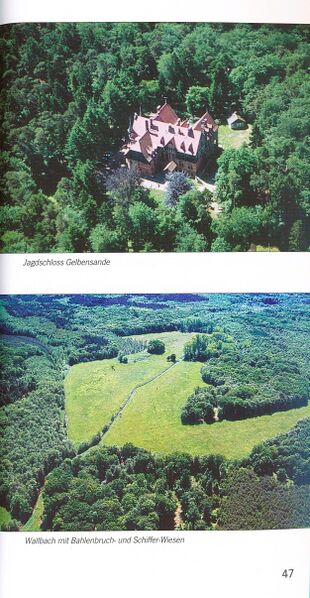 Datei:ML Gelbensander Forst 47.jpg