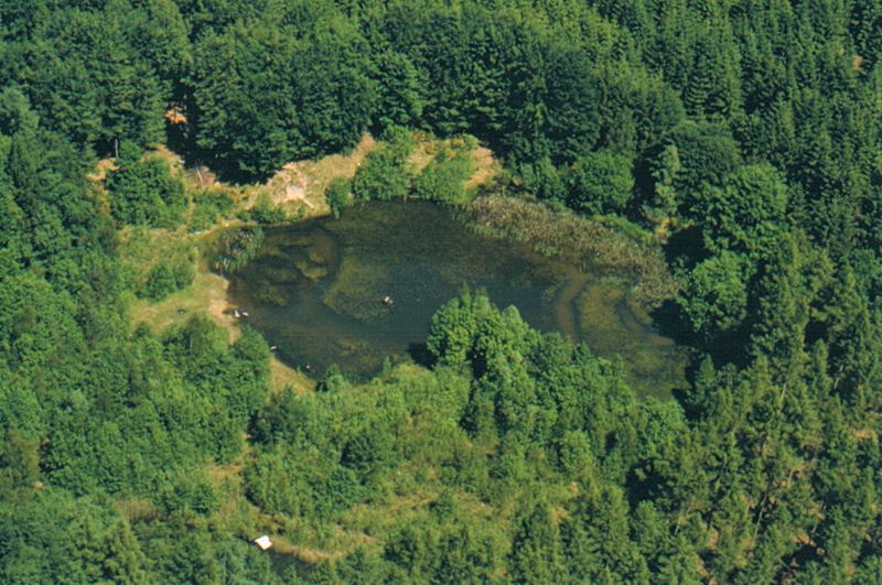 Datei:Willershaeger Rev Teich im Wendfeldsberg.jpg