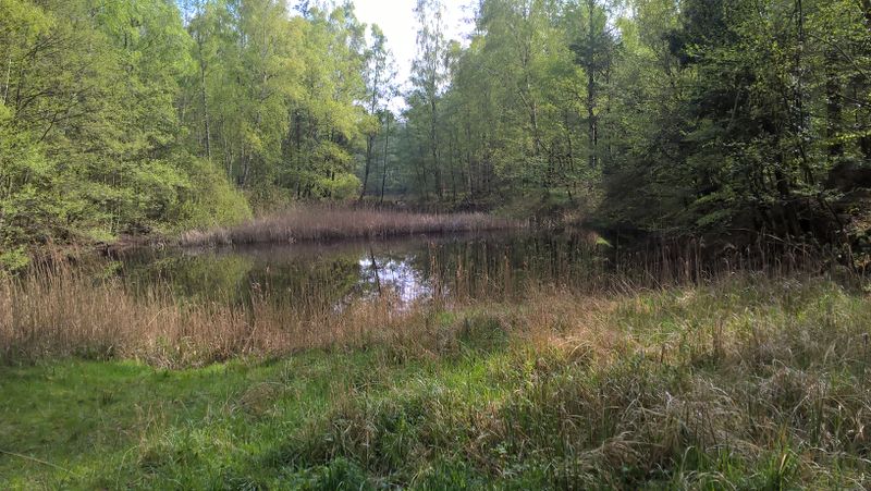 Datei:2021 OC Kuhlen Baggerloch Teerofenweg.jpg