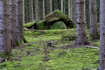 Hünengräber Sandkrug 1 4.jpg