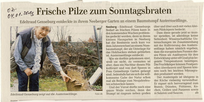 Datei:2013 Pilze.jpg