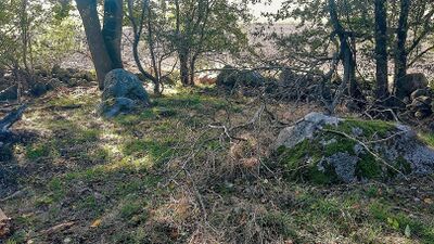 Hünengräber Semlow 3.1 ew hd.jpg