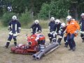 MarlowFw157.jpg