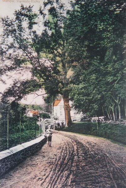 Datei:MarlowKL2.jpg
