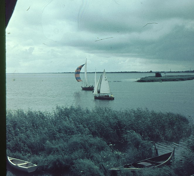 Datei:Regatta 2.jpg