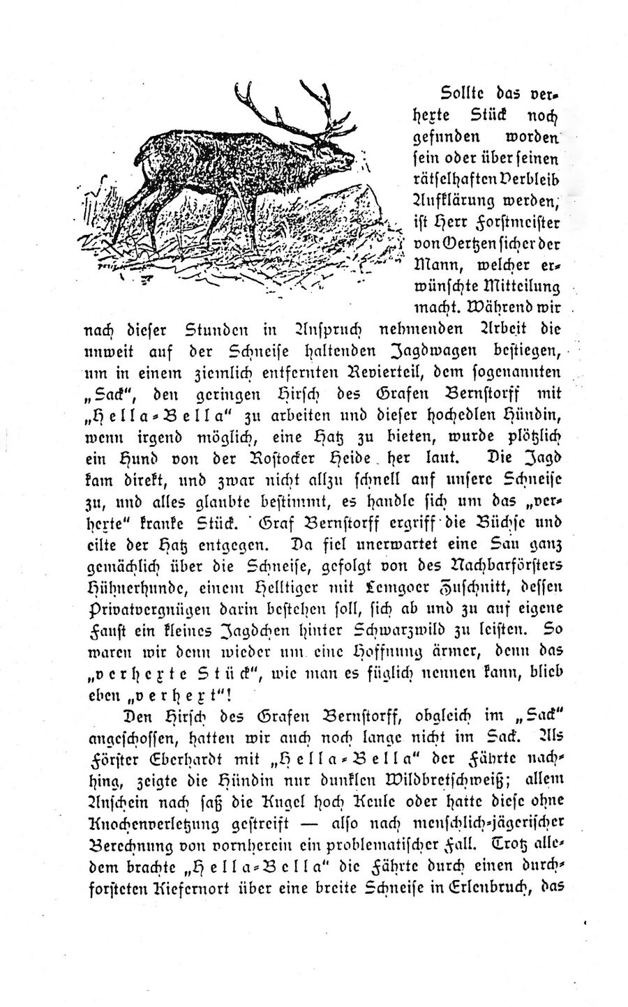 Gelb Forst Ausflug Reichs-Jagdhundeverein 18951 11
